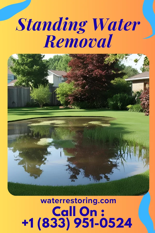 Standing Water Removal in Adamsville, TN